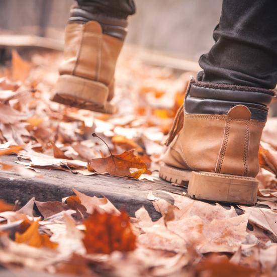 Vandresko i efterårsblade.